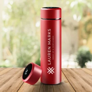 Temperature water bottle