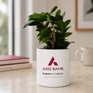 Ceramic Plant Pot – Corporate Desk Planter PP MOQ 50Ps